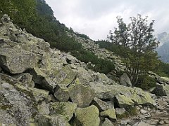 034_p20_IMG_20230822_092050