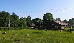 005_p20_IMG_20250616_072836