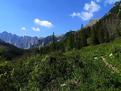 029_p20_IMG_20250616_090700