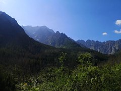 031_p20_IMG_20250616_090706