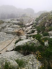 019_p20_IMG_20250617_112025