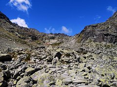 102_p20_IMG_20250617_130426