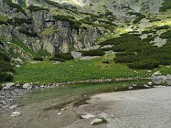 260_p20_IMG_20250617_170829