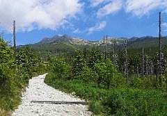 028_p20_IMG_20250618_112506