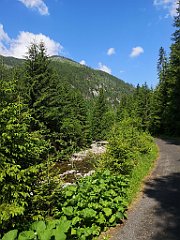 027_p20_IMG_20250619_101043