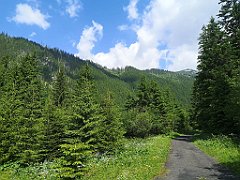 040_p20_IMG_20250619_104030