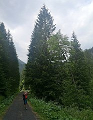 079_p20_IMG_20250619_123506