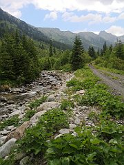 090_p20_IMG_20250619_125022