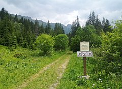 100_p20_IMG_20250619_130345