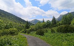 103_p20_IMG_20250619_130951