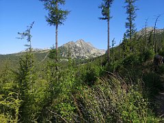 007_p20_IMG_20250620_091702