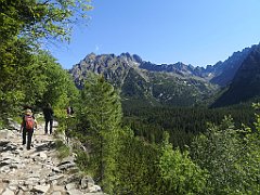 013_p20_IMG_20250620_094551