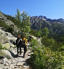 018_p20_IMG_20250620_094929