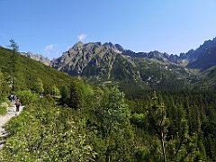 026_p20_IMG_20250620_095254