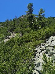 028_p20_IMG_20250620_095443