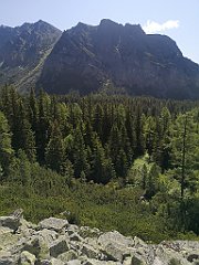 030_p20_IMG_20250620_095942