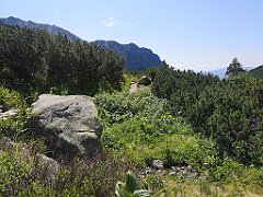 050_p20_IMG_20250620_105150