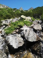 055_p20_IMG_20250620_110429