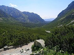 063_p20_IMG_20250620_111649