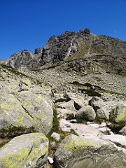 080_p20_IMG_20250620_121144