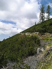 018_p20_IMG_20250621_111349