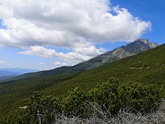 026_p20_IMG_20250621_112914