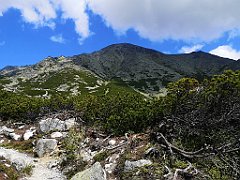 028_p20_IMG_20250621_113053