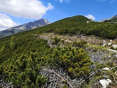 029_p20_IMG_20250621_113102