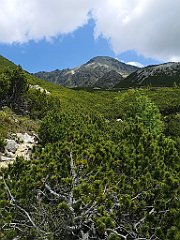 042_p20_IMG_20250621_114931