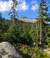 150_p20_IMG_20250621_165036