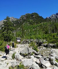 065_p20_IMG_20250622_100828