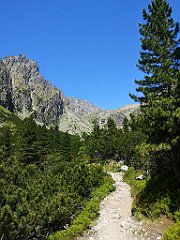 101_p20_IMG_20250622_112811