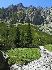 113_p20_IMG_20250622_113846