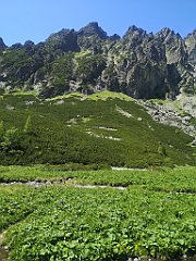 116_p20_IMG_20250622_114006