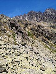 185_p20_IMG_20250622_125903