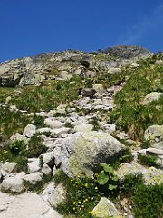 188_p20_IMG_20250622_130312