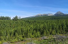 005_p20_IMG_20250623_084756