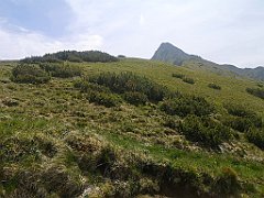 093_p20_IMG_20250623_140016