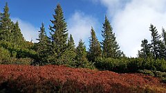 x14_IMG_20251008_093443