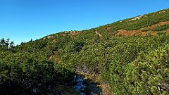 x14_IMG_20251008_101510