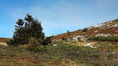 x14_IMG_20251008_104048