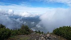 x14_IMG_20251008_140928