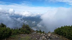 x14_IMG_20251008_140930